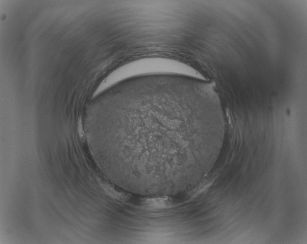 X0000068890089200605122045