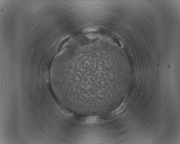 X0000068890090200605122045