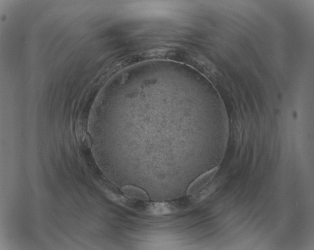 X0000068890091200605122045