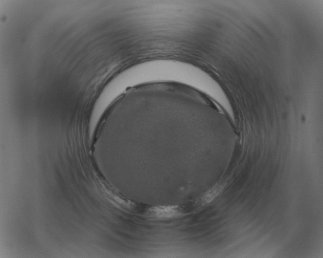 X0000068890093200605122045