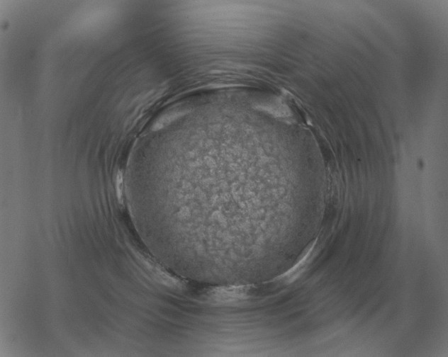 X0000068890094200605122045