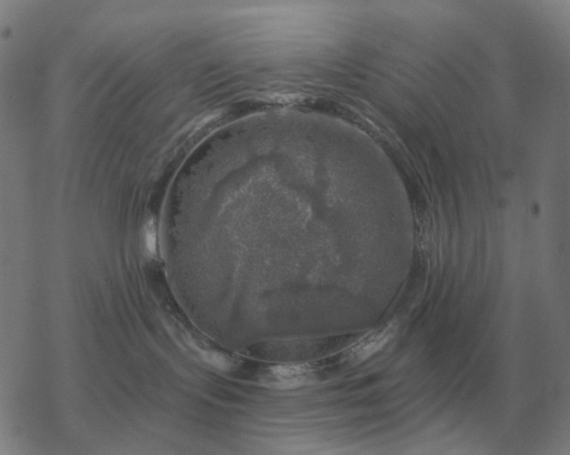 X0000068890095200605122045