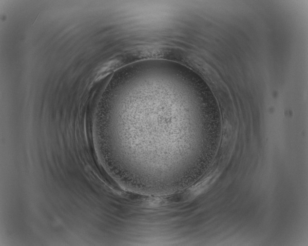 X0000068890096200605122045