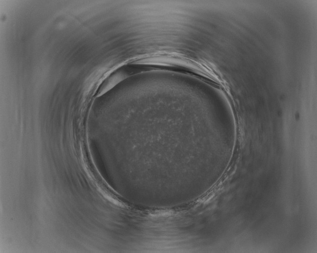 X0000068890097200605122044