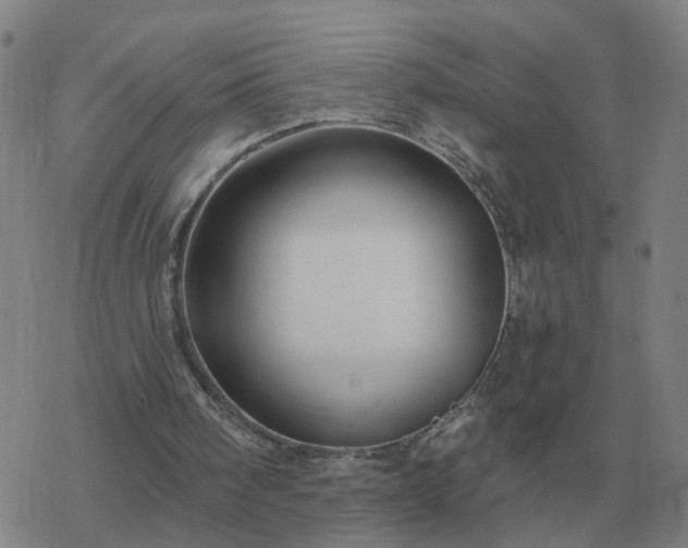 X0000068890098200605122044