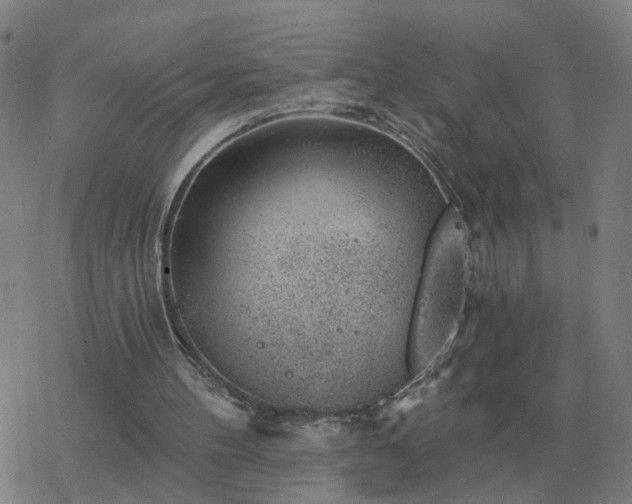 X0000068890100200605122044