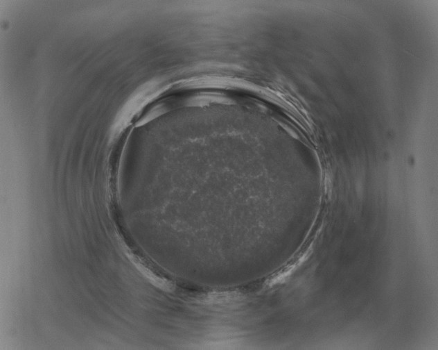 X0000068890101200605122044