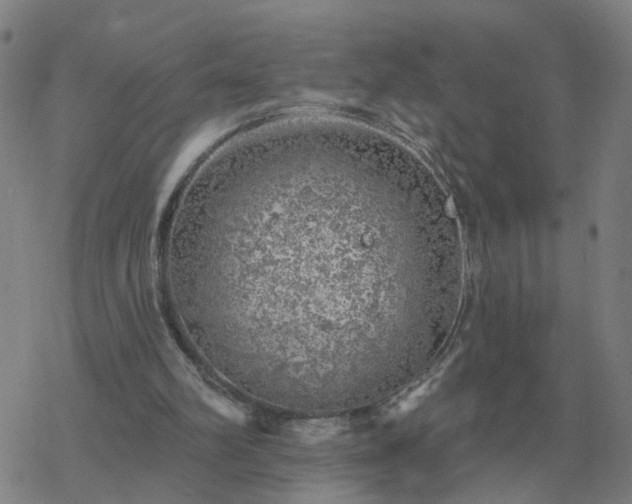 X0000068890102200605122044