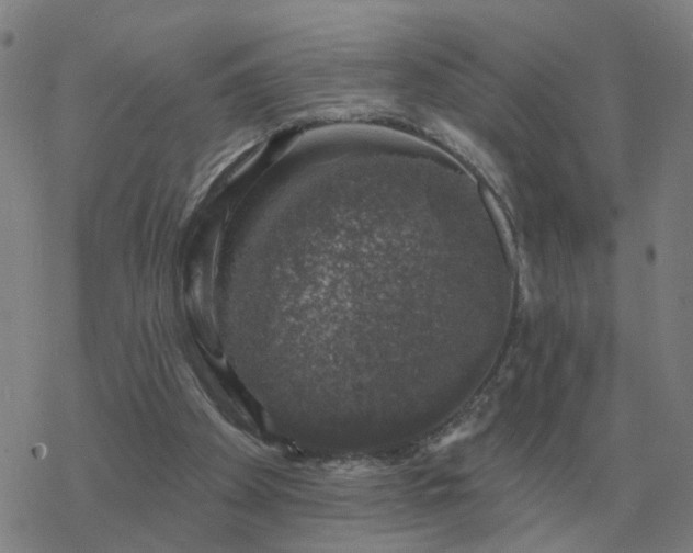 X0000068890105200605122044