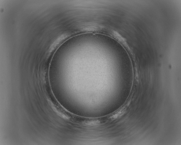 X0000068890106200605122044