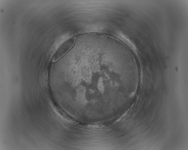 X0000068890107200605122044