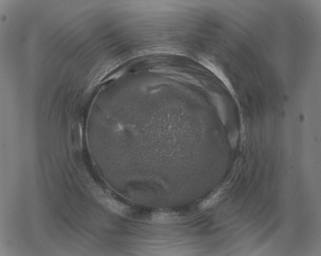 X0000068890109200605122044