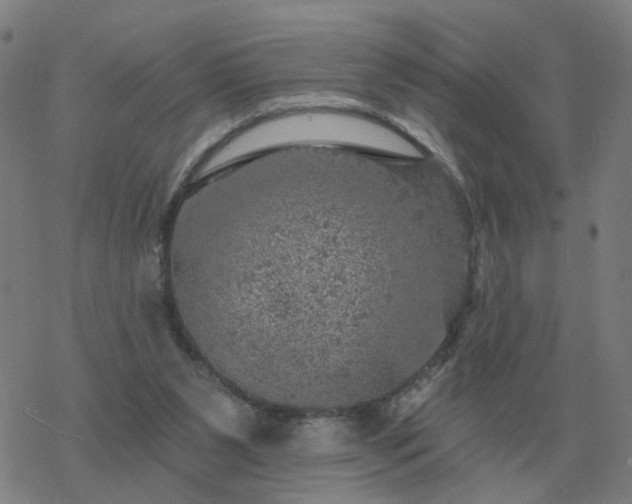 X0000068890111200605122044