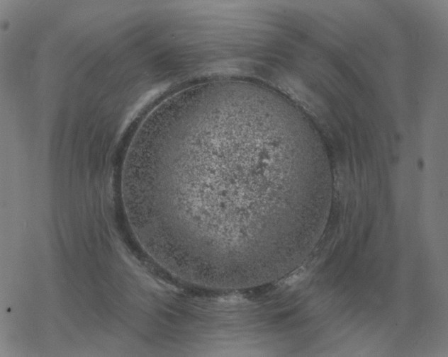 X0000068890112200605122044