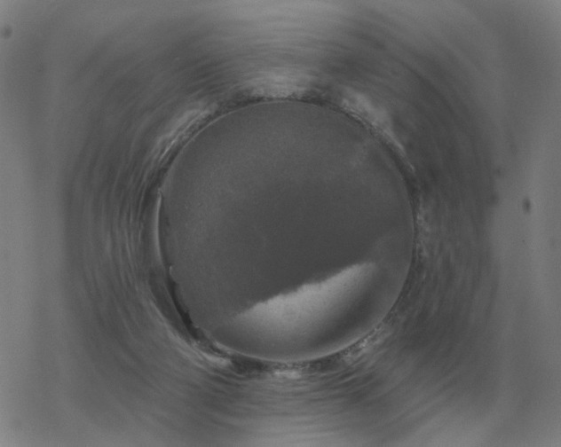 X0000068890114200605122044