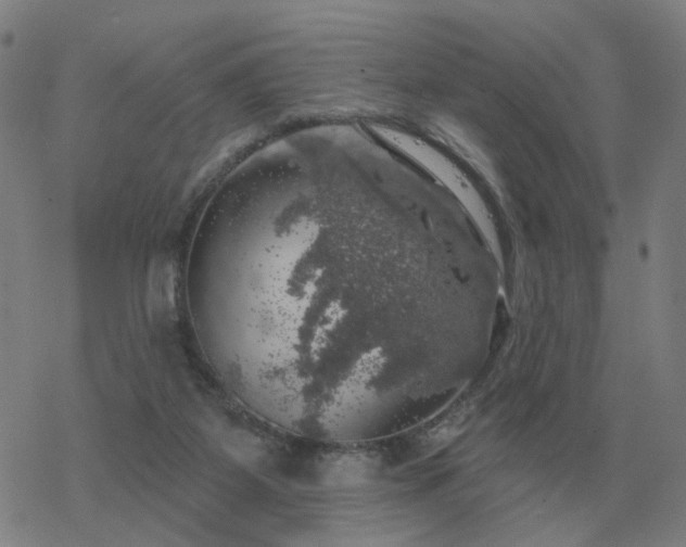 X0000068890115200605122044