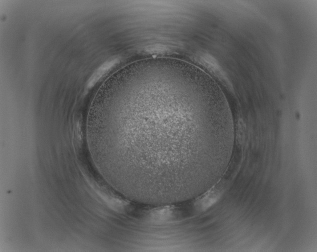 X0000068890116200605122044