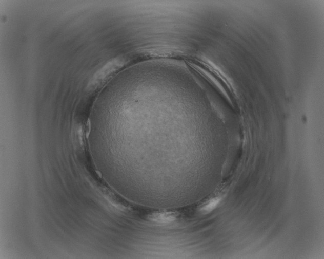 X0000068890117200605122044