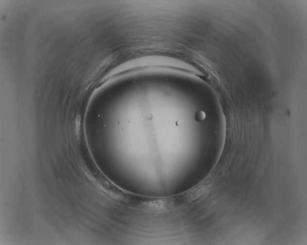 X0000068890118200605122044