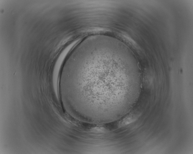 X0000068890119200605122044