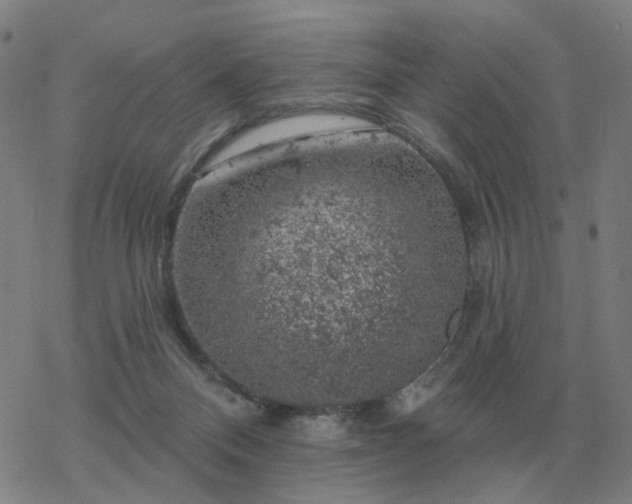 X0000068890120200605122044