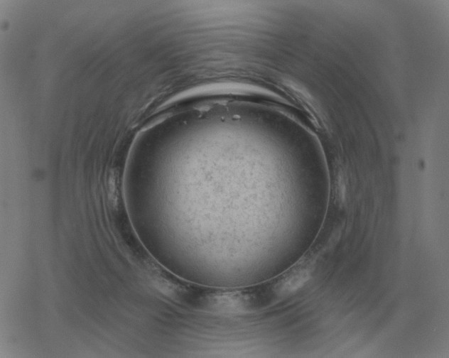 X0000068890121200605122044