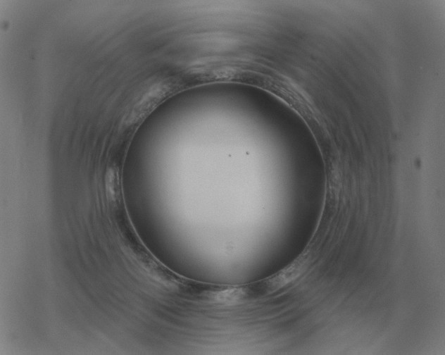 X0000068890122200605122044