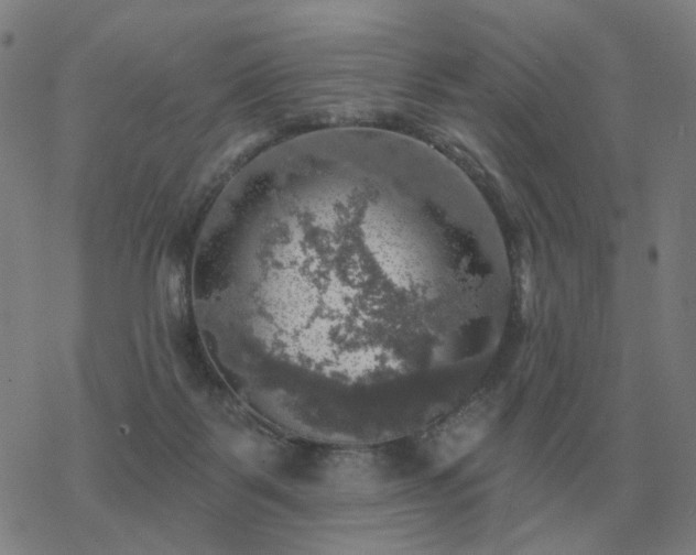 X0000068890123200605122044