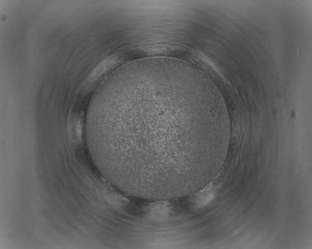 X0000068890124200605122044