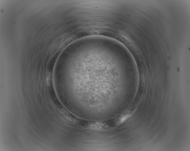 X0000068890125200605122044