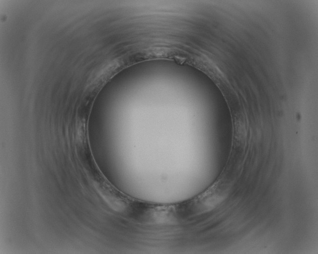 X0000068890126200605122044