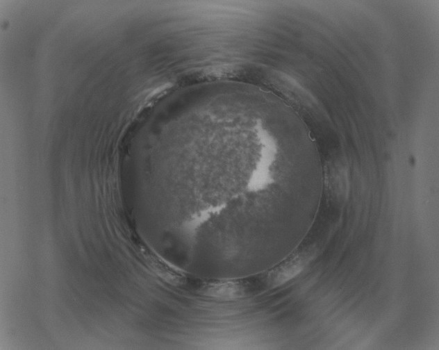 X0000068890127200605122044