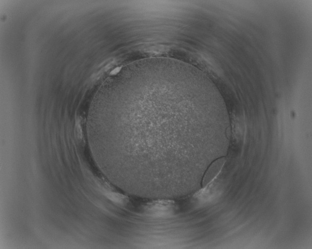 X0000068890128200605122044