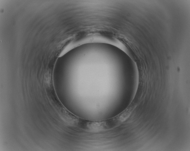 X0000068890129200605122044