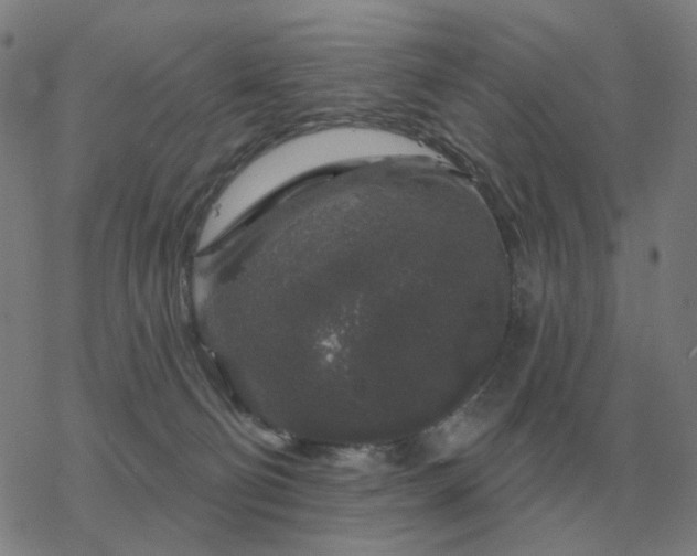 X0000068890130200605122044