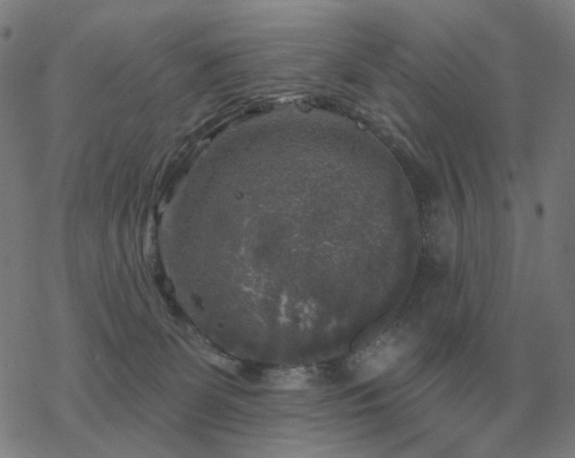 X0000068890131200605122044