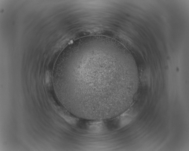 X0000068890132200605122043