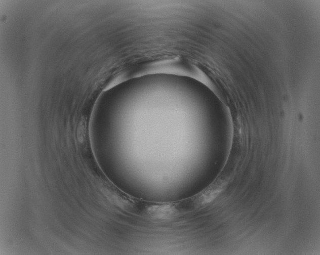 X0000068890133200605122043