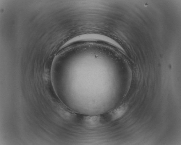 X0000068890135200605122043