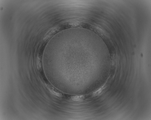 X0000068890136200605122043