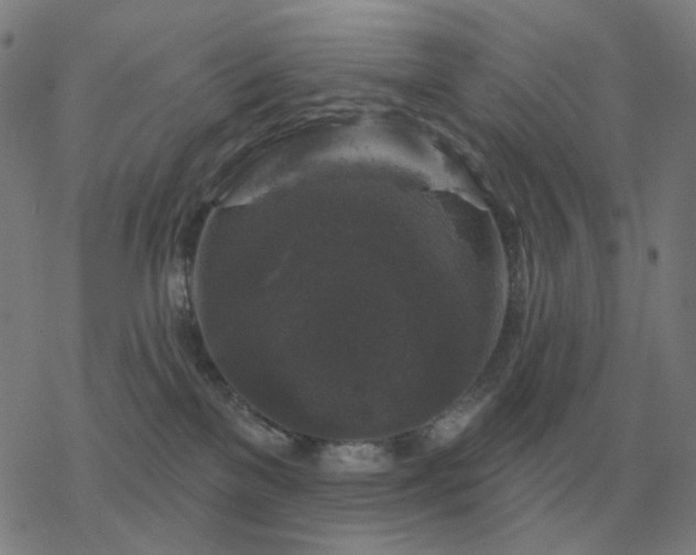 X0000068890137200605122043