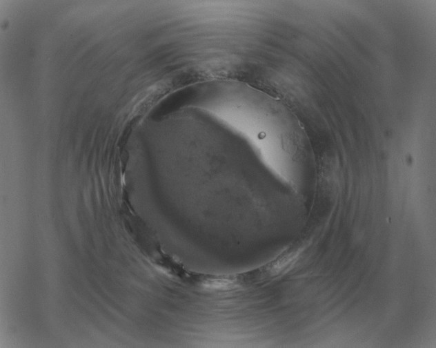 X0000068890139200605122043