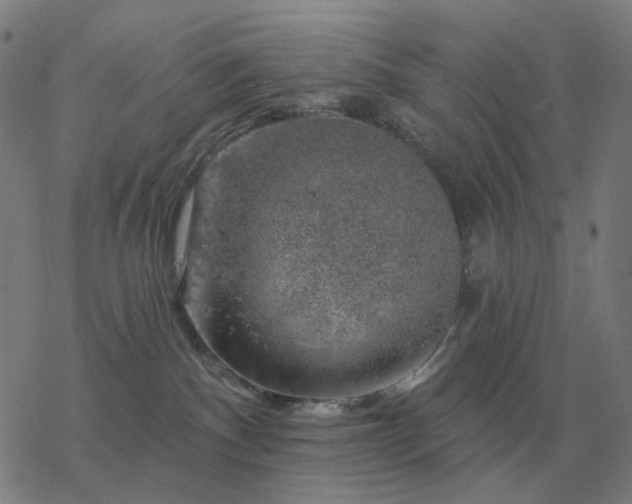 X0000068890140200605122043