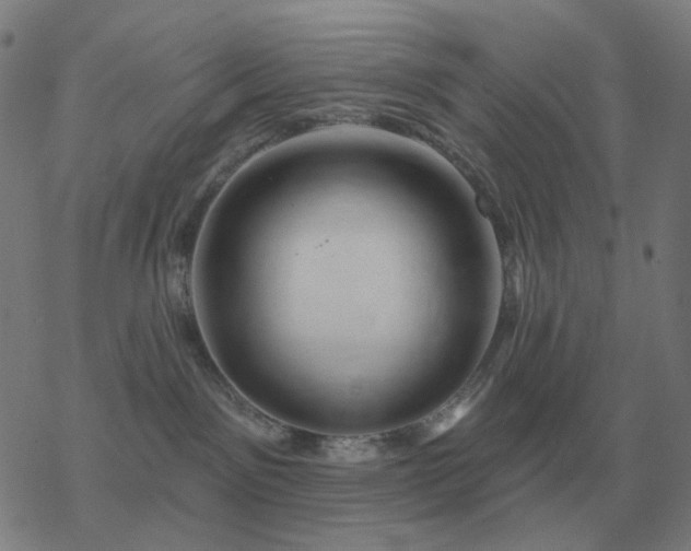 X0000068890141200605122043