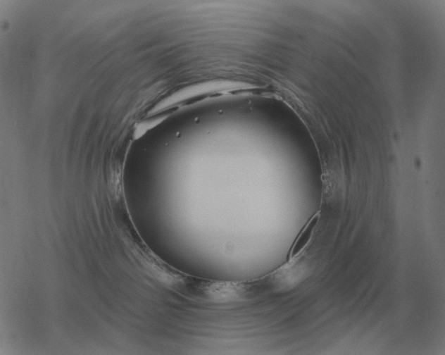 X0000068890142200605122043