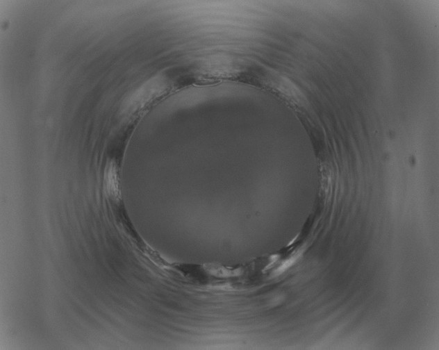 X0000068890143200605122043