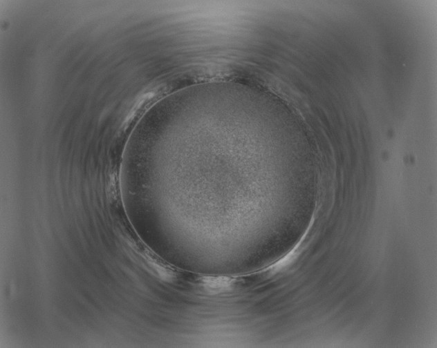 X0000068890144200605122043