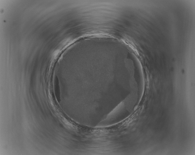 X0000068890145200605122043