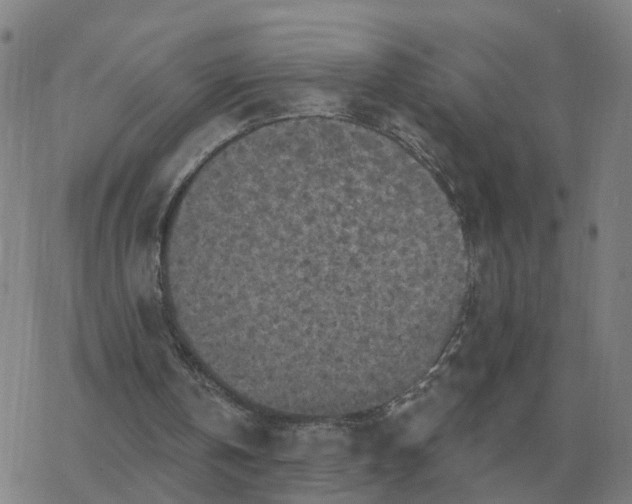 X0000068890146200605122043