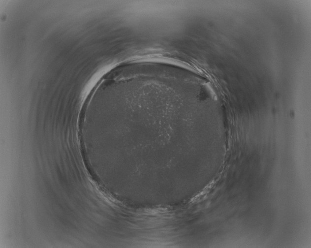 X0000068890147200605122043